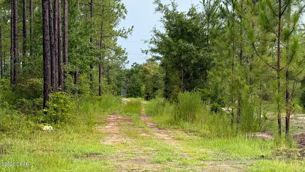 Buildable land and homesite opportunity in Bay County Florida