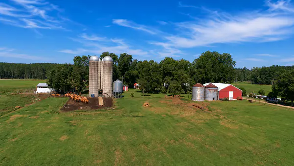 Rural acreage and wooded land in Calhoun County Florida