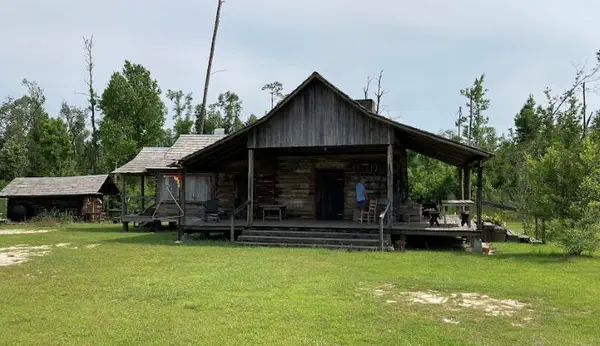 Wooded acreage typical of inland Calhoun County Florida