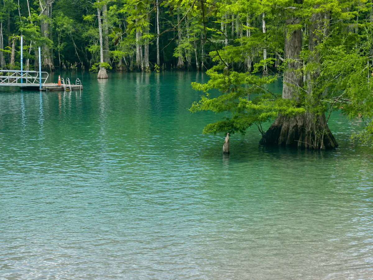 Natural spring-fed lake surrounded by cypress trees in Washington County Florida