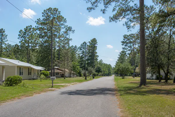 Quiet rural residential street in Holmes County Florida with pine trees and modest homes
