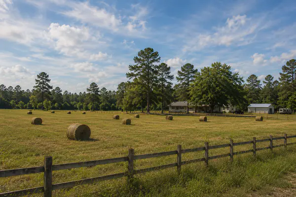 Holmes County area acreage with pasture, fencing, and pine trees