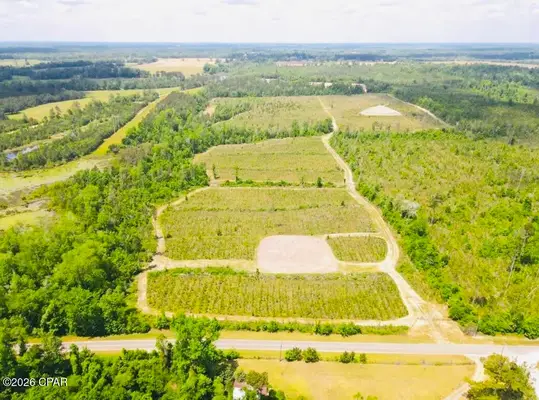 Acreage property with open land and trees in North Florida