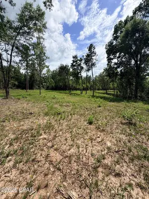 Buildable land in rural Jackson County Florida