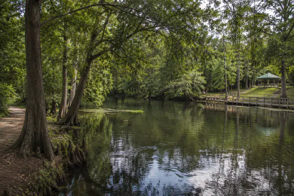Spring-fed waterway and wooded landscape in Jackson County Florida