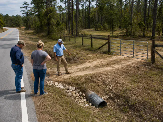 Rural North Florida driveway entrance with culvert and gate showing practical property access considerations