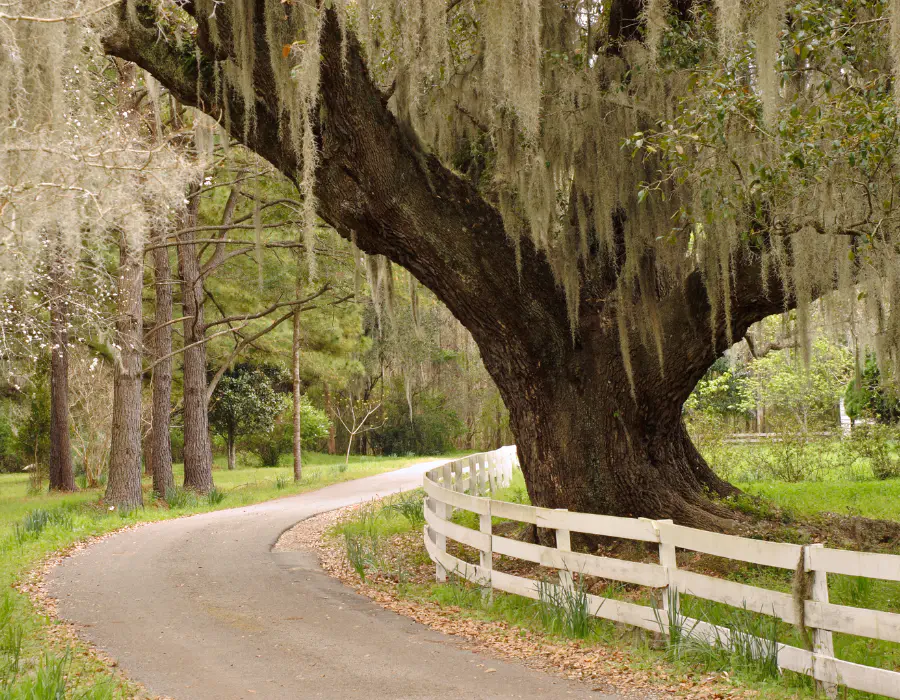 Exploring rural property options across the Washington County Florida area