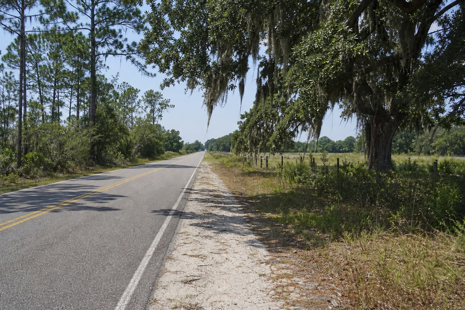 Rural North Florida Panhandle road with pine trees, live oaks, Spanish moss, open land, and quiet inland scenery