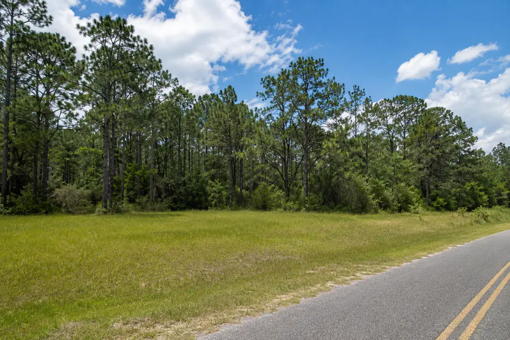 Rural North Florida land with trees, open acreage, and a quiet country road