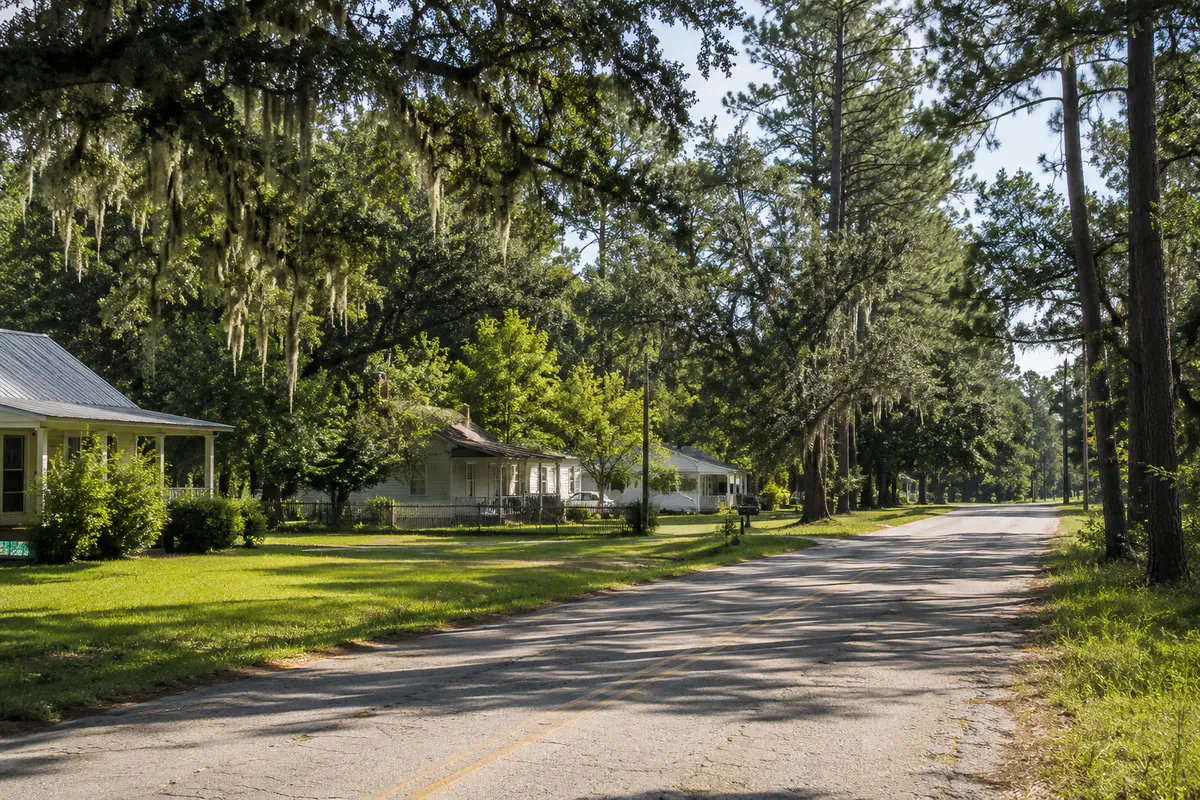 Quiet rural residential street in North Florida with pine trees, live oaks, and modest homes