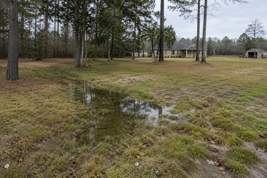 Rural North Florida property with low wet area and standing water near a potential homesite