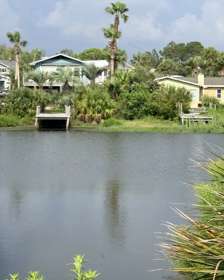 Canal-front homes with private docks set among palms and dune vegetation in Laguna Beach, Panama City Beach.
